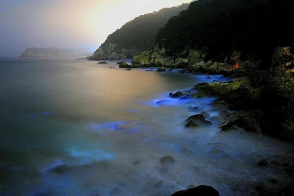 依金那海景民宿 南竿郷 エクステリア 写真